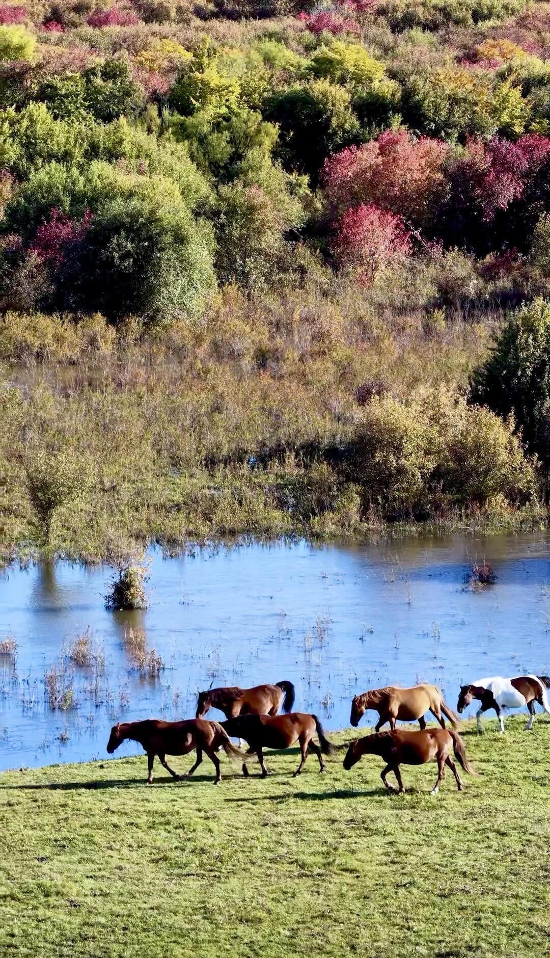 出差奔波在内蒙古的路上沿途略感熟悉的风景突然想起了十年前
从上海一路北上自驾抵达