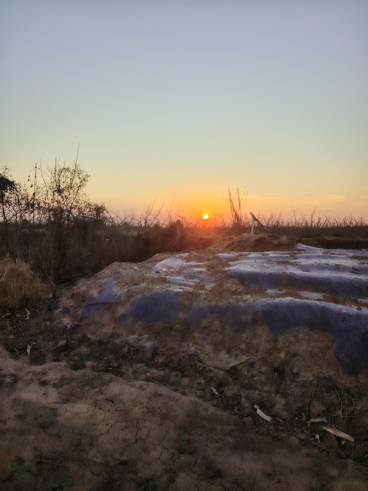 分享一张傍晚的风景照冬日里夕阳，还真是美呀！太阳冉冉下山，一会天就黑下来了！