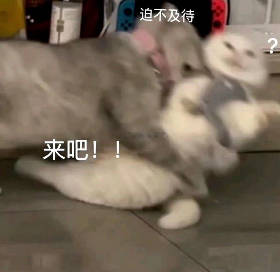 发的小甜文太多，每次一发涩涩的就害羞的很在你们看不到的地方我俩都在偷偷摸摸酱酱酿