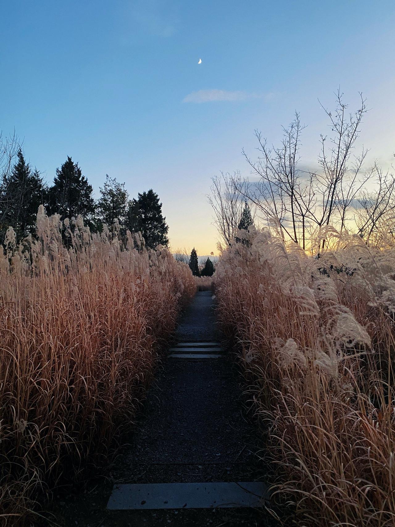 人生这趟旅途，从不是单枪匹马的冲锋。我们都曾有过陷入泥泞的时刻，或是被生活的风浪