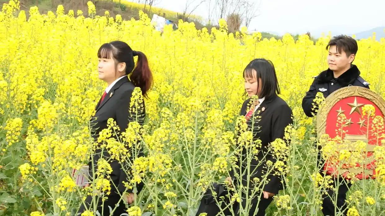 四川一对夫妻闹离婚，分割财产时却互不相让。他们家有29只鸡、22只鹅和2只鸭子，
