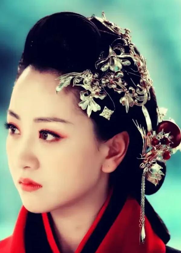 霍光死后，汉宣帝下令将密谋造反的霍家灭族。皇后霍成君哀求说：“陛下就看在父亲的面