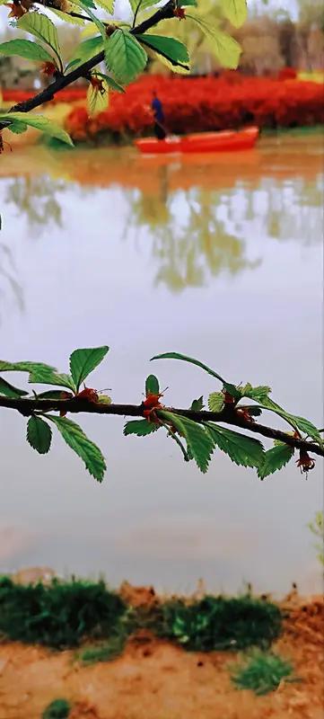 “动人春色不须多”，这句诗实在是妙不可言。生活中，有时无需过多繁杂的装点，一处恰