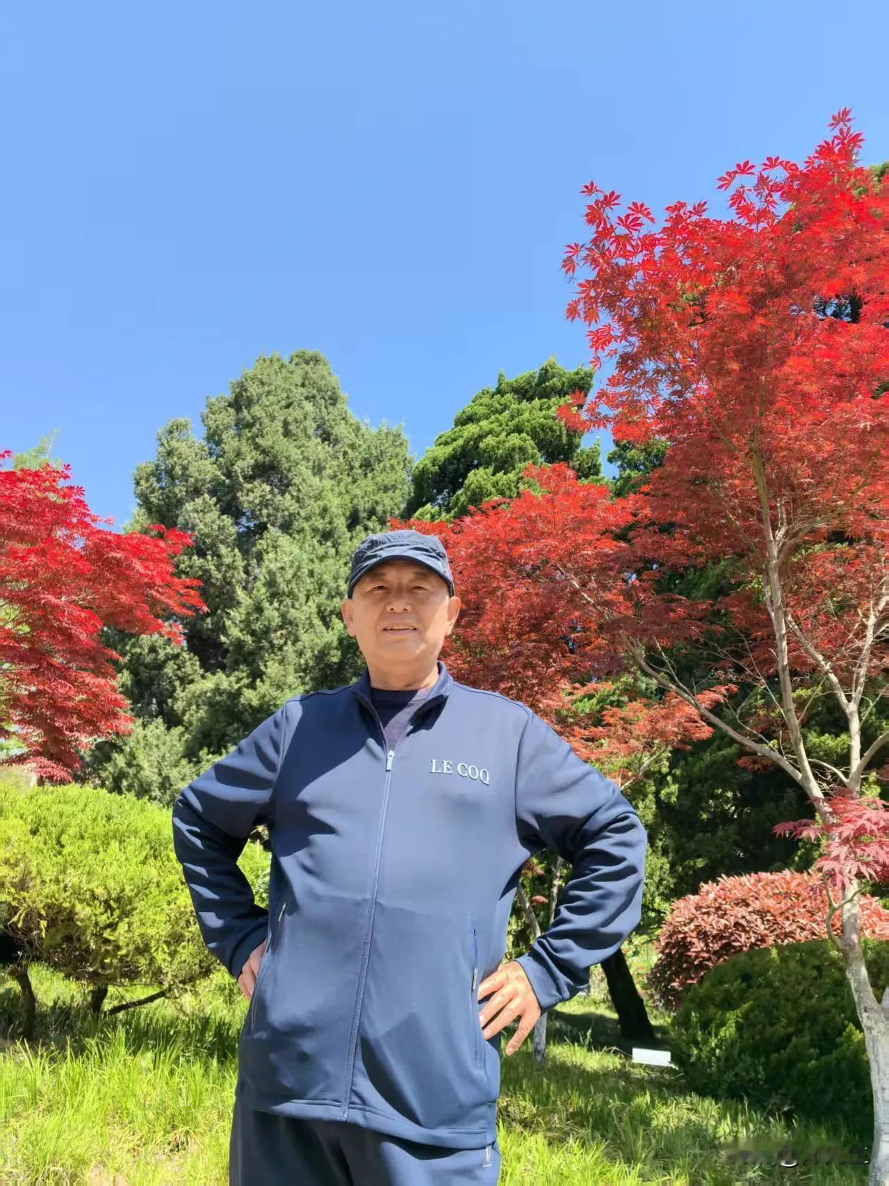 《七律•畅游八大关》
暮春客履叩亭关，万国楼台碧海间。
紫雾洇墙浮旧梦，绯云压树