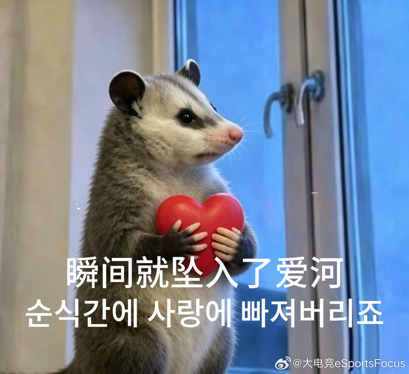 晚上好～大家都喜欢吃什么口味的粽子呢？大电竞分享