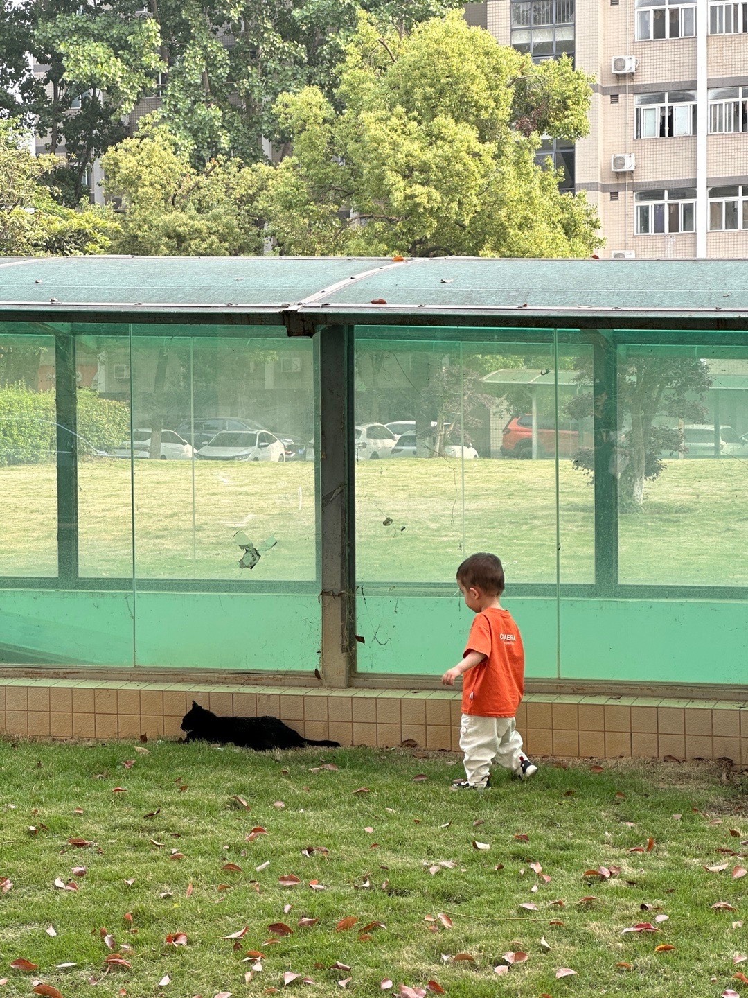 再发一条 ​​​