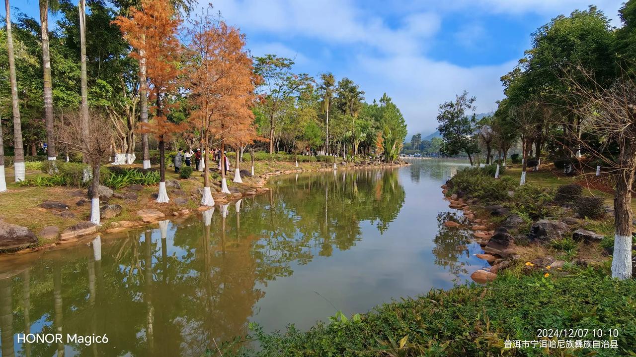 分享一张你最近随手拍的照片吧宁洱清水湾公园拍的几张照片。