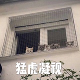 璩爱聚科技