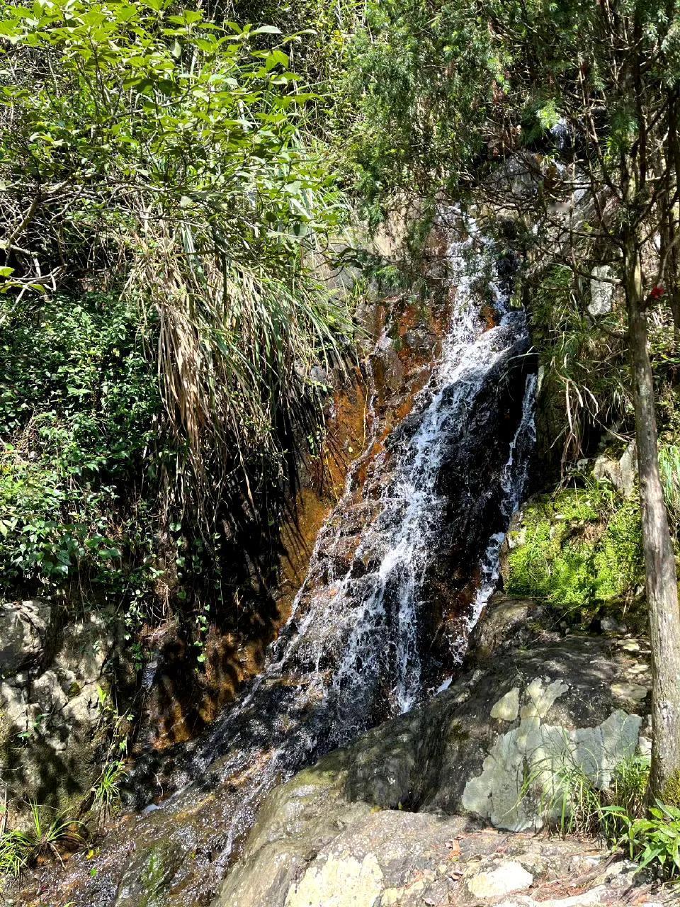 【秋游福州鼓岭】

漫步鼓岭，一起俯瞰榕城全景，听风白云间。
Via@暴_暴 ​