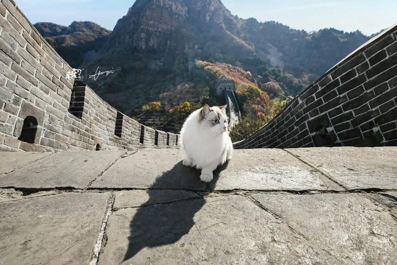 长城三好汉😜