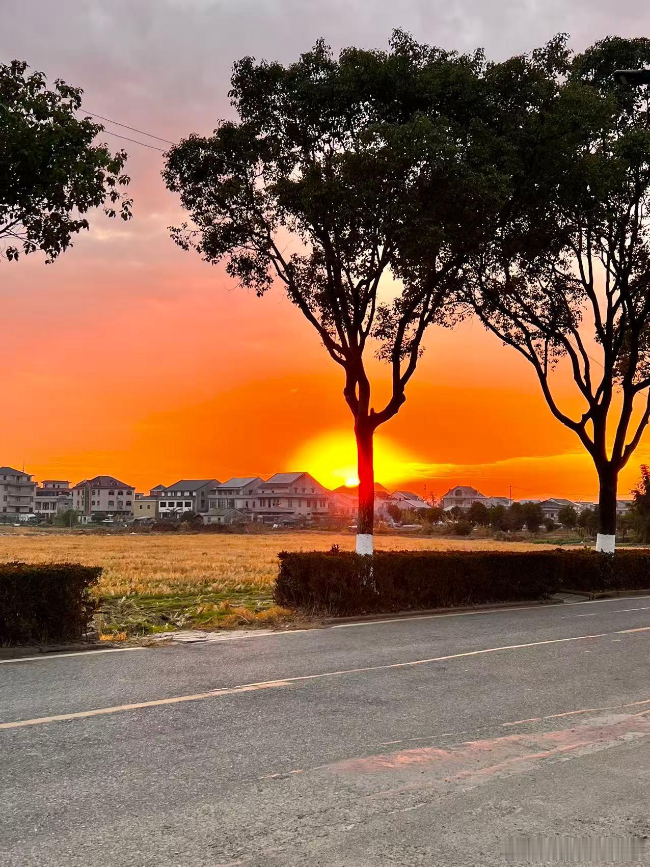 如果这个世界的有创世者。祂的目的不会是统治，而是激发世界内部的创造力与生命力，让