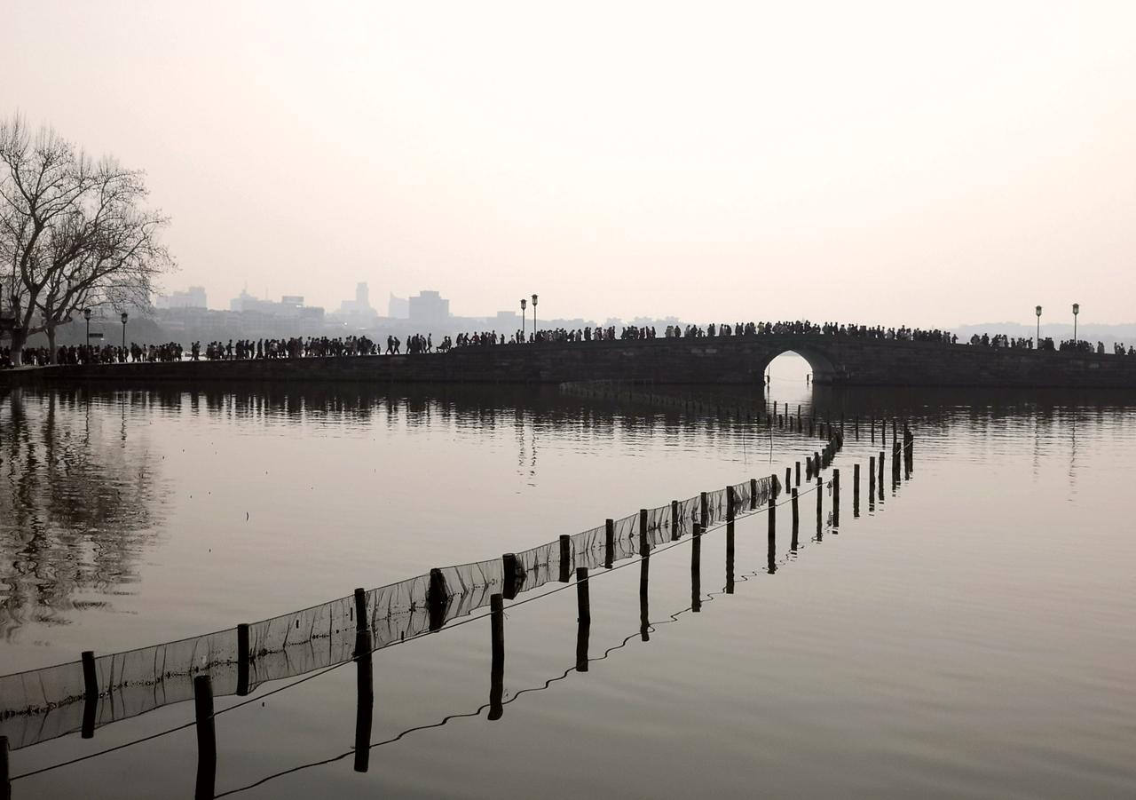 【七律·断桥霜寒】
霜路连堤柳色残，
断桥横卧水云寒。
疏林叶落风敲韵，
浅渚萍