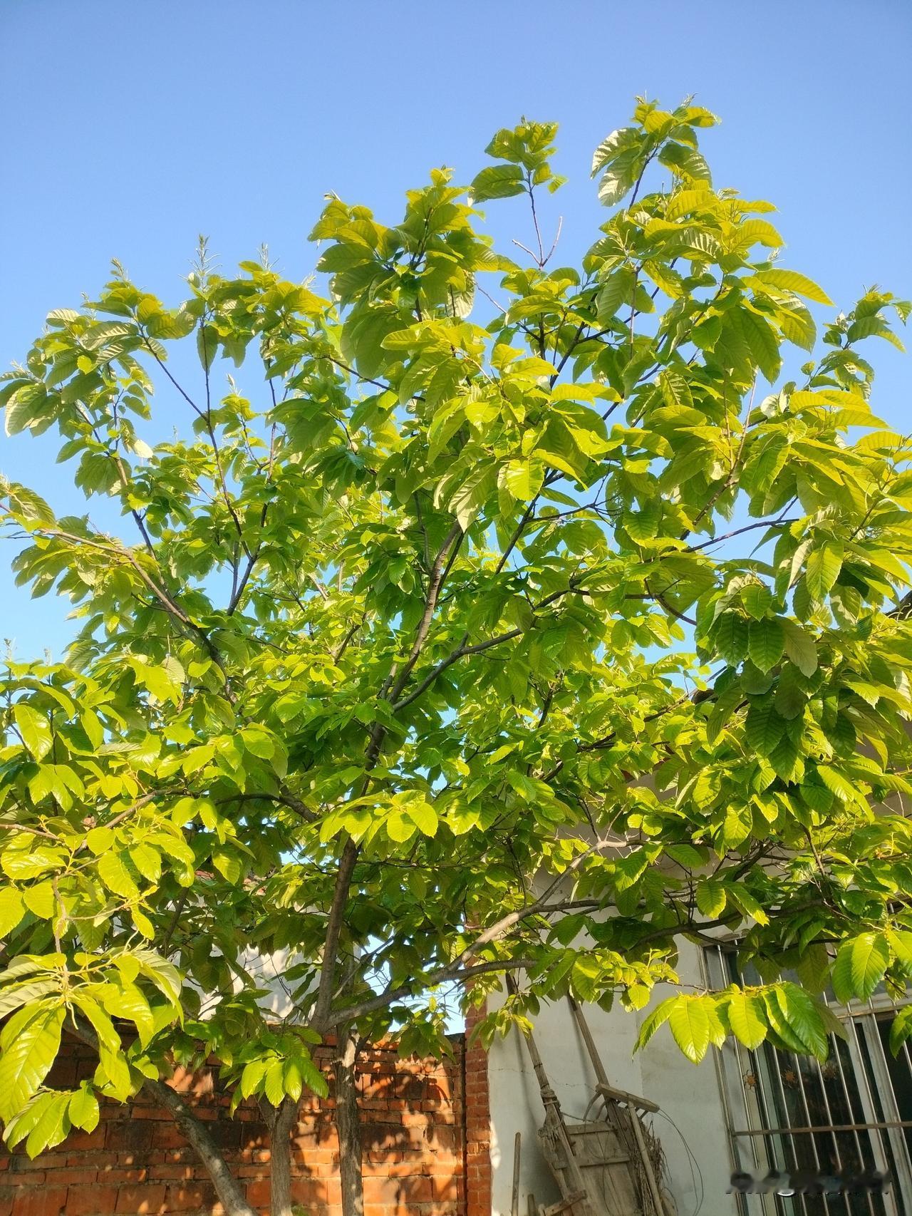 你相信吗？假装幸福、真正幸福、假装痛苦、深陷痛苦，是四种截然不同的生存状态，更是