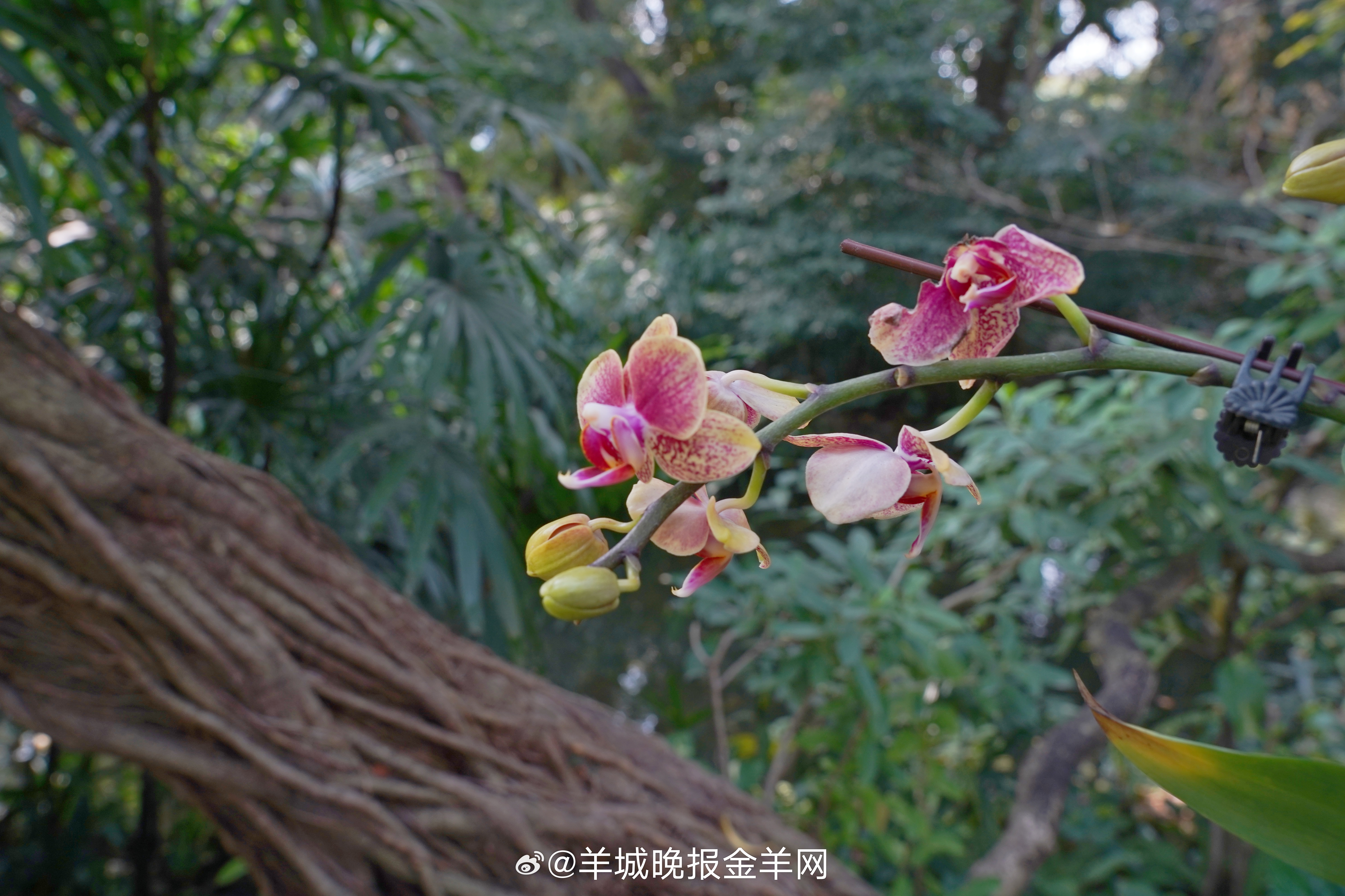 #晚安#相信你值得世间一切美好，那些温柔的人和事物，正在遇见你的路上。 