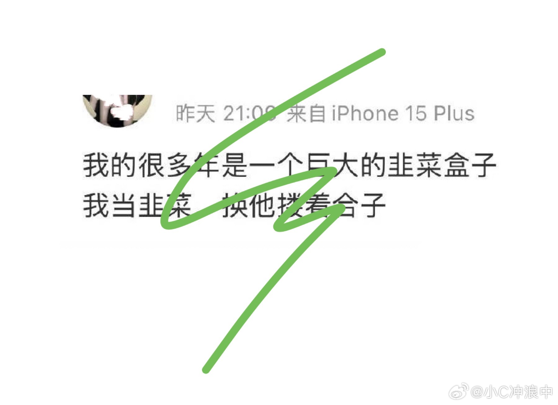 “我的很多年是一个巨大的 韭菜🈴子”————盲盒🈴甜如蜜🍯 