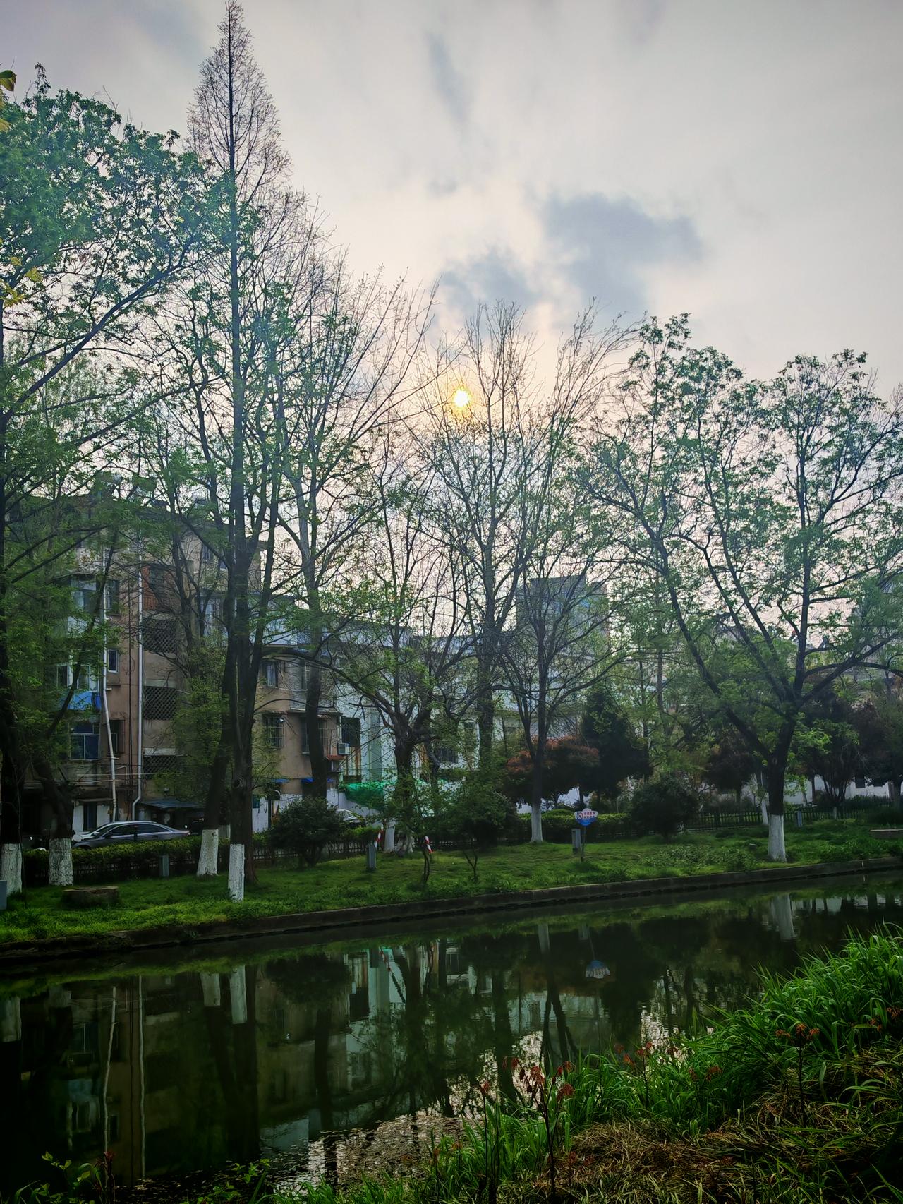 落日余晖，璀璨星河