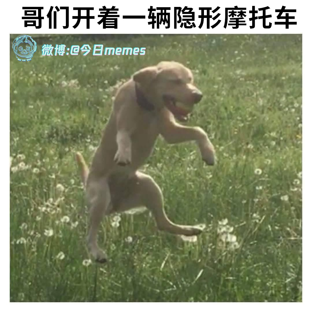 突突突突 ​​​