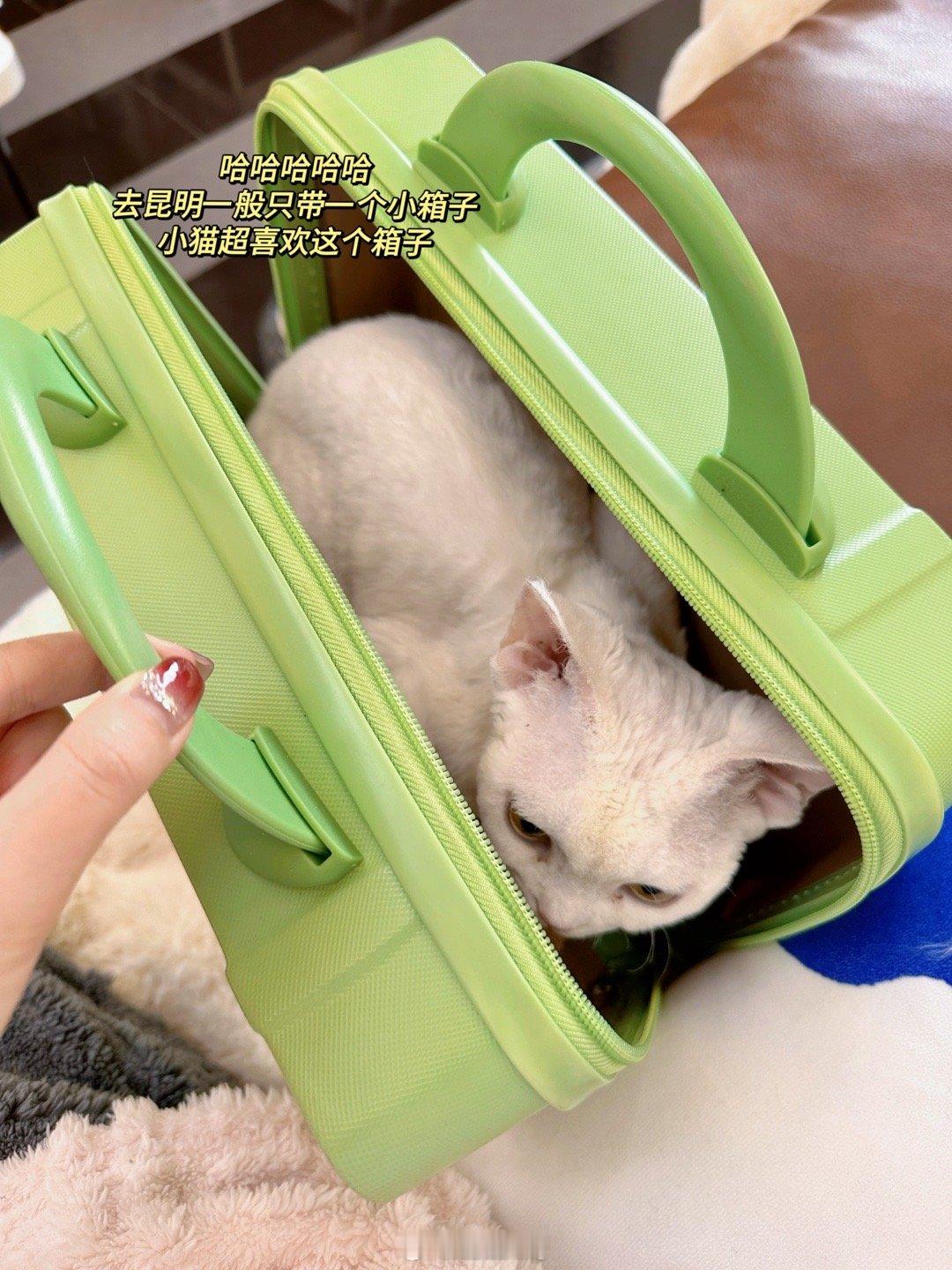 超简单plog！  ​​​
