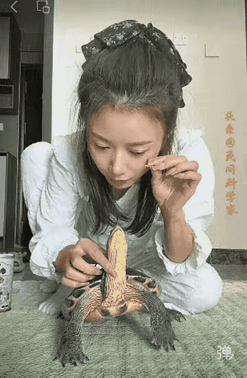 安全提醒是有必要的。
太危险了。