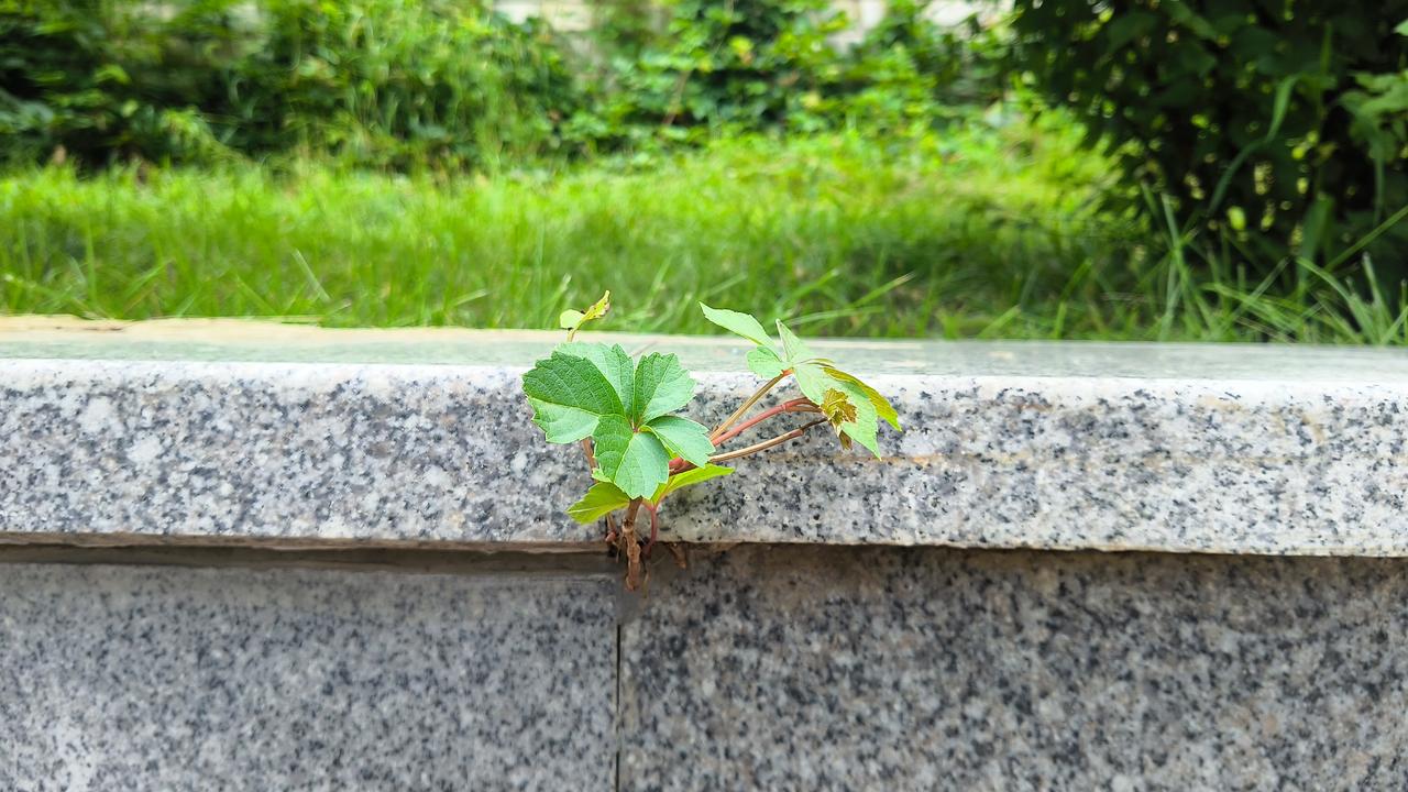 卷

听着盛大的叙事
​走在灯光灿烂的街上
​总想寻一把角落的铁椅
​让奔波的心