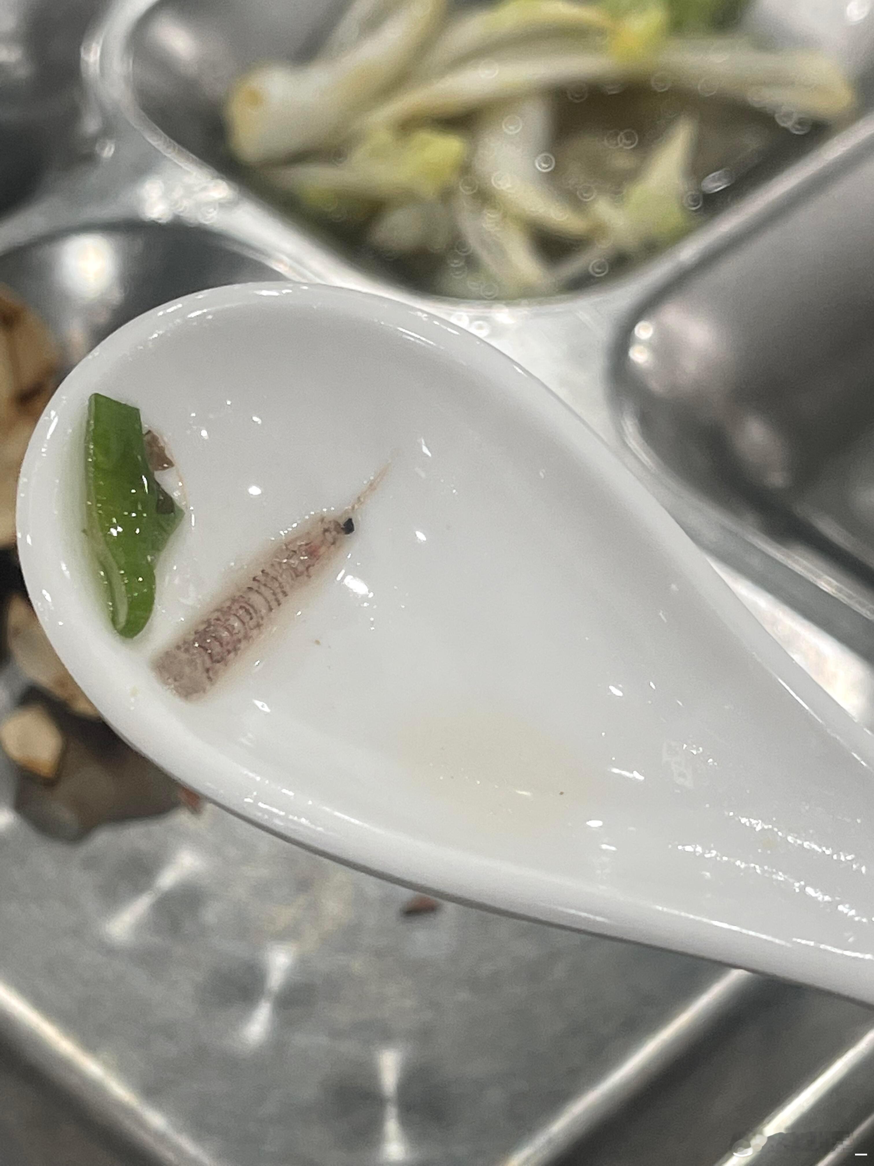 馄饨汤里有皮皮虾皮？ 