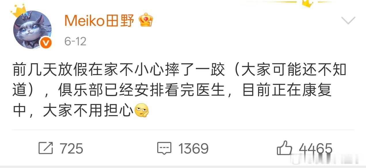 Flandre探望Meiko送猪蹄 好消息，炫君探望过田野，已经严肃康复Meik