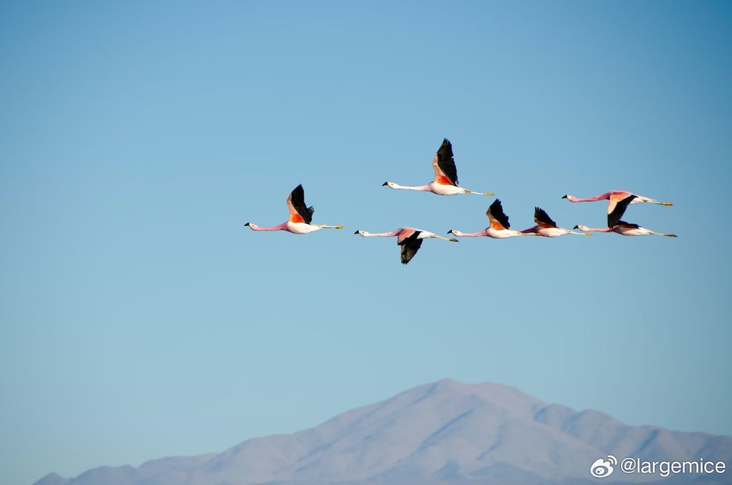 真正的困难总比想象的要小很多。人们拖延、纠结、畏惧、害怕的根本原因往往不是事情本