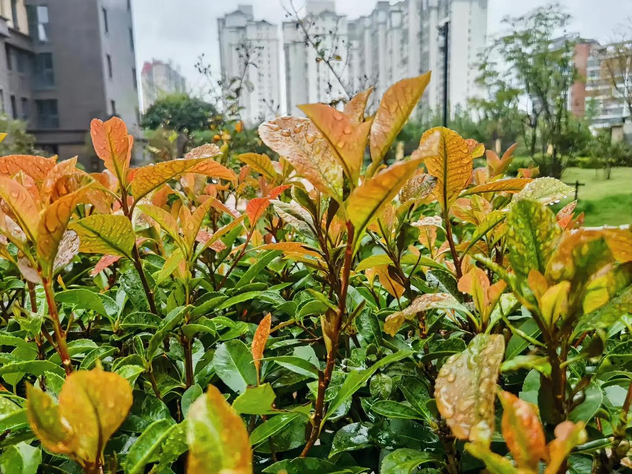 早上能自然醒，不用慌慌张张赶时间，窗外还能听见几声鸟叫；中午吃口热乎饭，不管是妈