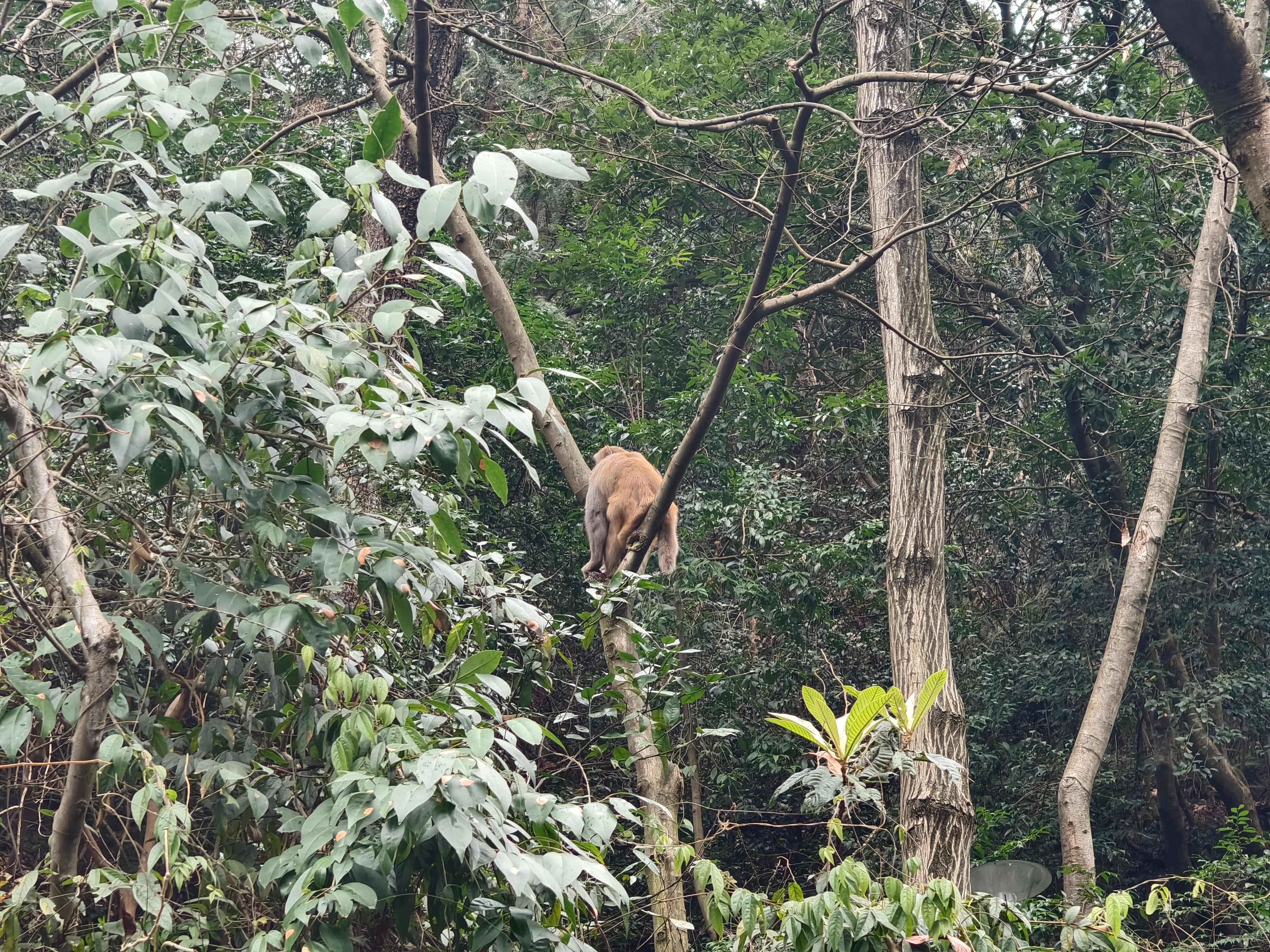 我看到了哈哈哈哈 