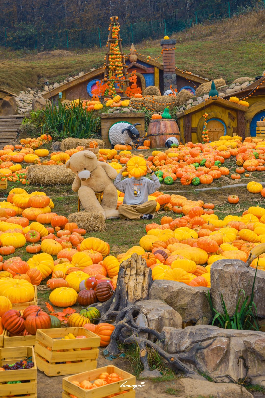 🎃心跳秋游，节日氛围拉满的宝藏乐园！