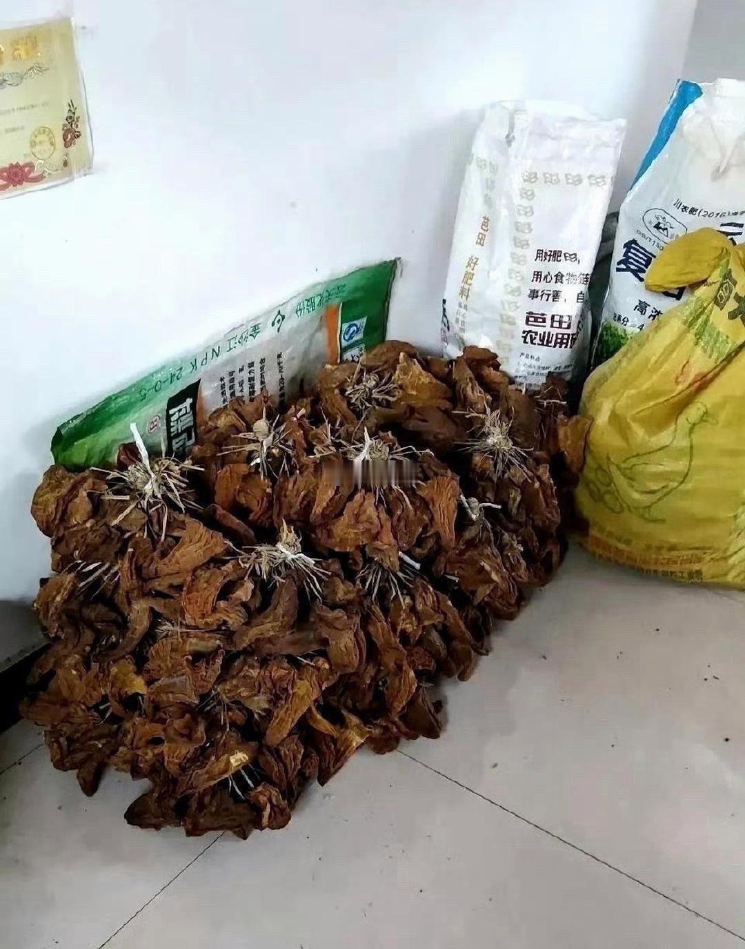 这才是真正的大户人家，太让人羡慕了 ​​​