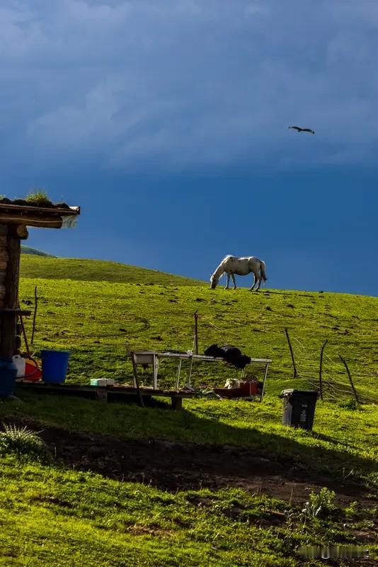 人生在世，有人羡慕，有人嫉妒，有人笑话，有人瞧不起，有人会误会你，这就是生活，做