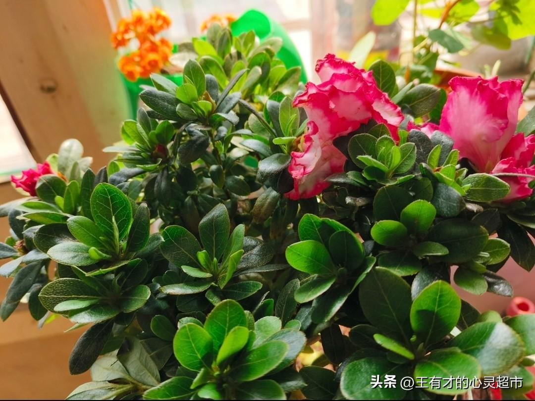 人生路渐长，越简单越高级
 
      人越往后走，越明白一件事：人生不必太用