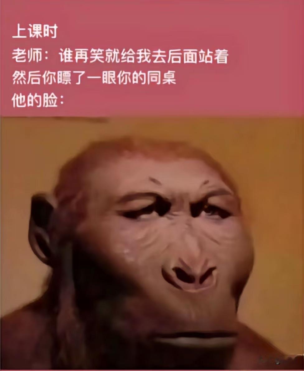 当你在严肃场合和好朋友对视的时候