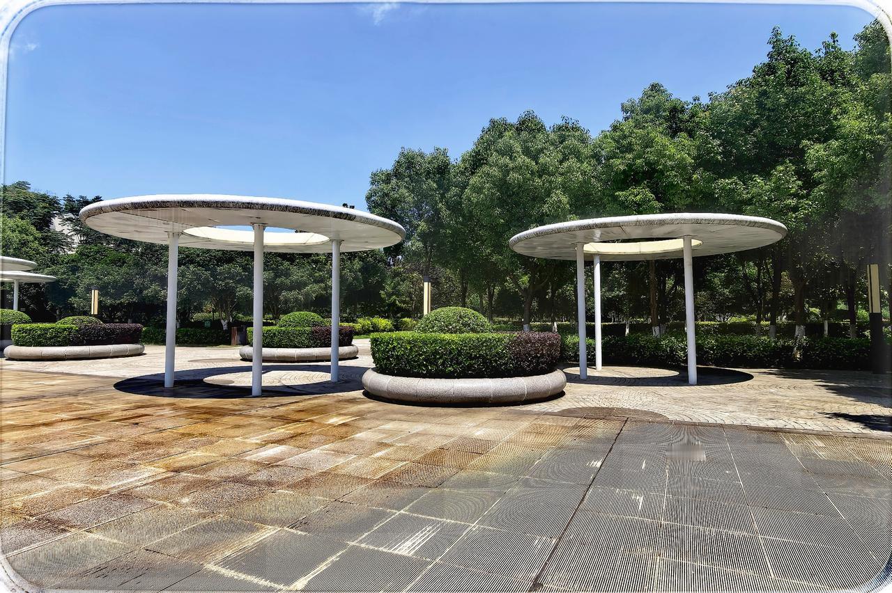 天门市东湖公园之韵
在城市跳动的核心脉搏，东湖公园似绮梦般停泊。自然风光与人文景