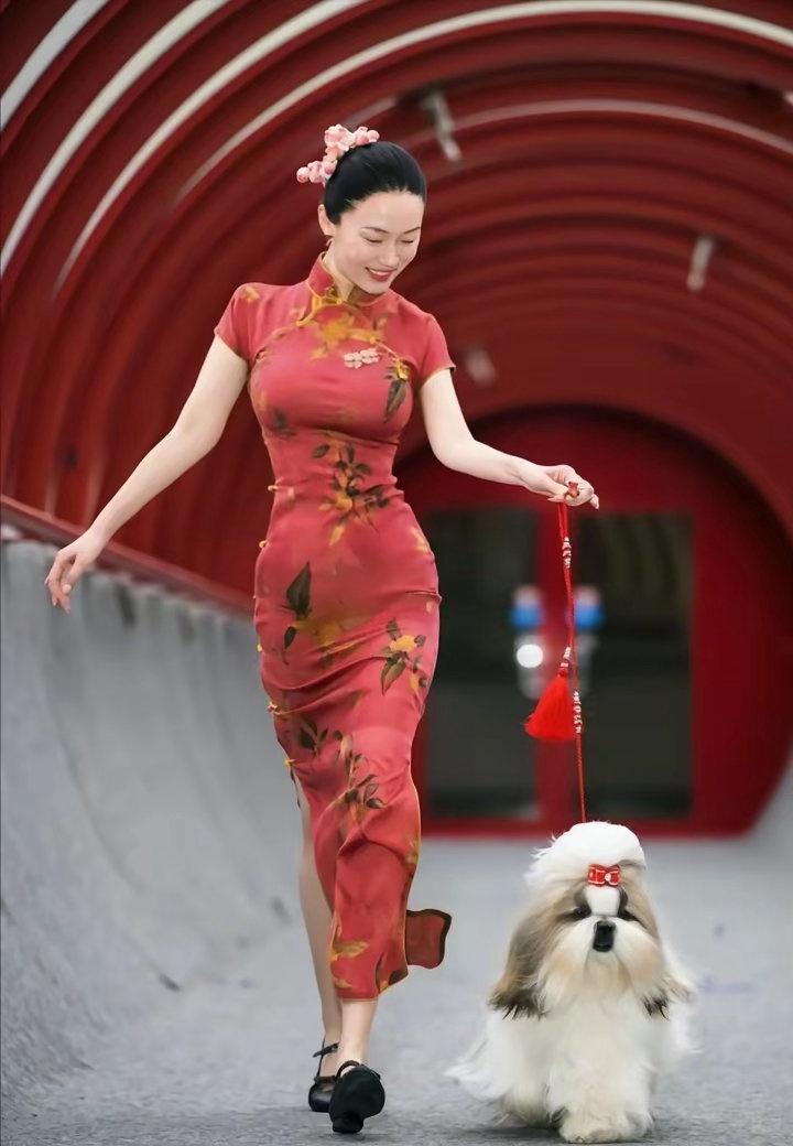 霍思燕是不是只要携狗参赛必穿旗袍！ ​​​