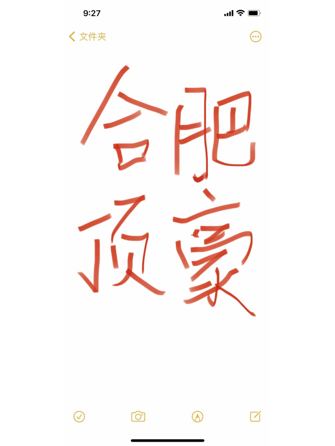 合肥最新顶级豪宅规划定了