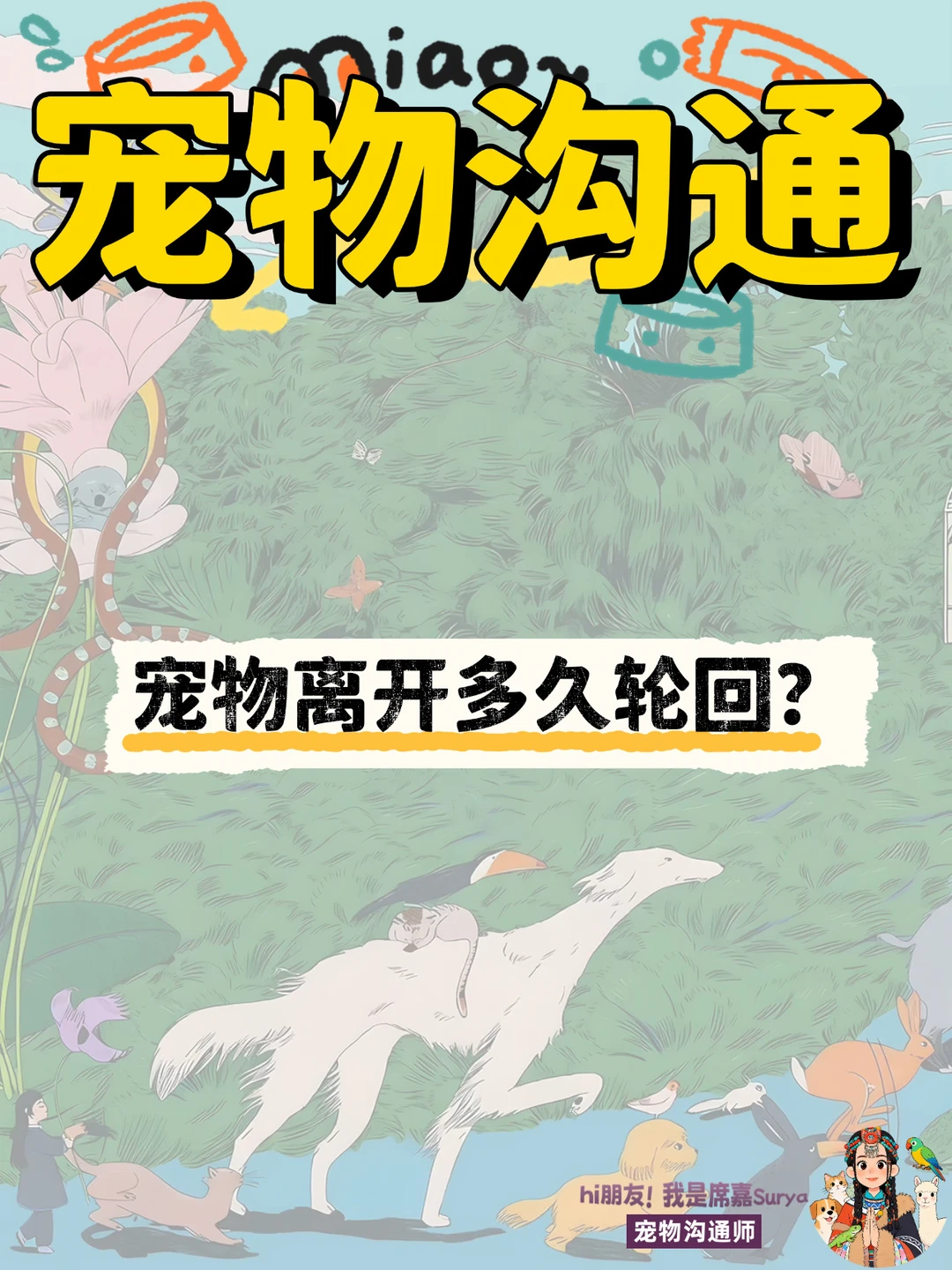 宠物沟通｜毛孩子离开多久轮回？请看123