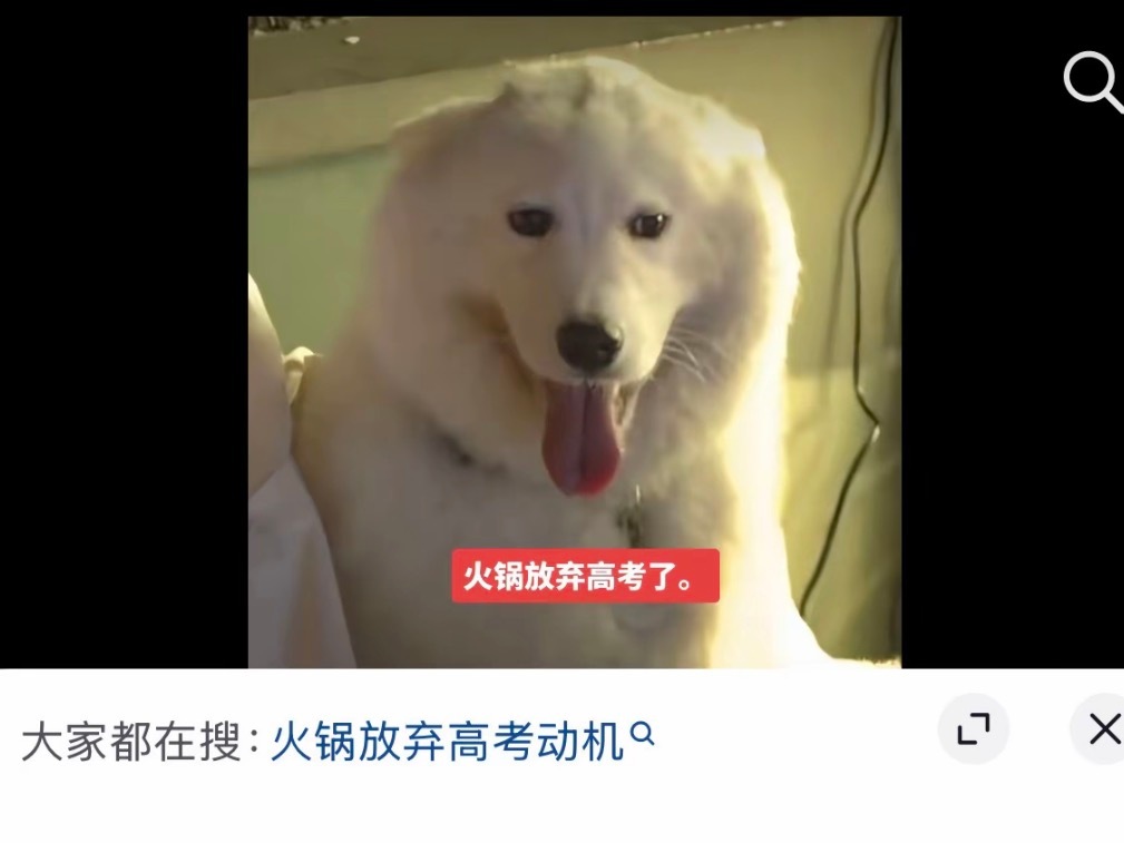 我真的要笑死了 