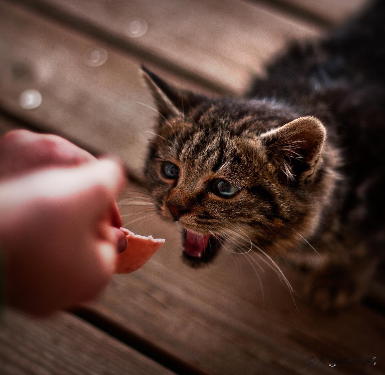 分享城市新鲜事 分享城市新鲜事 武汉近期新鲜事还不少。10月4日，张先生家出了件