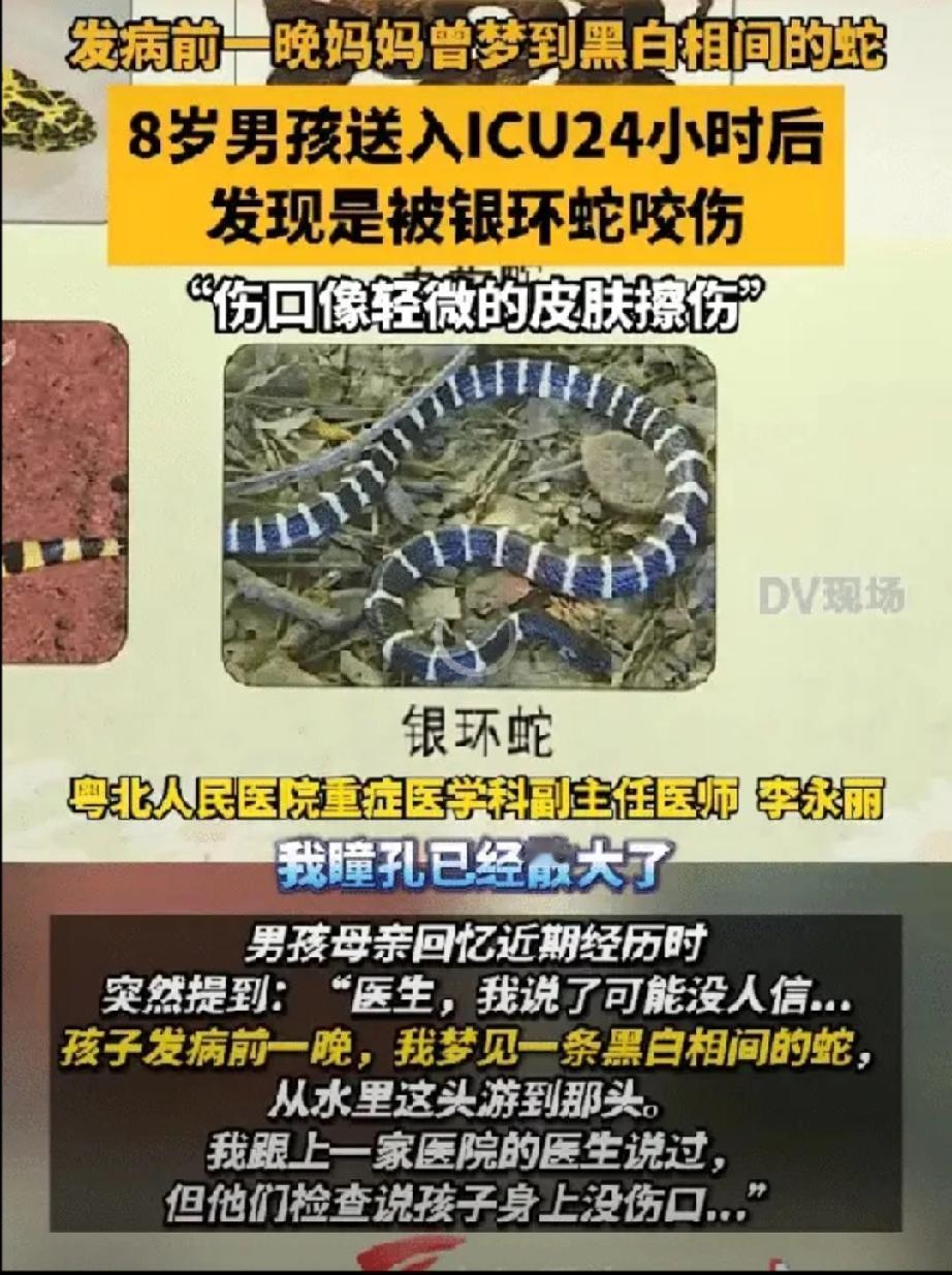 “解释不清了！”8岁男孩被银环蛇咬伤送进ICU抢救，到医院时已陷入深度昏迷，瞳孔
