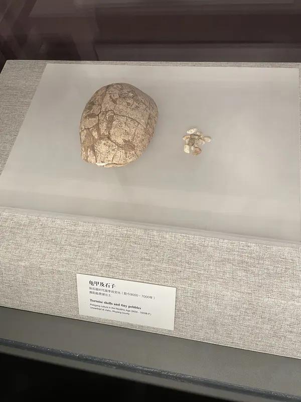 内蒙古赤峰脑特盖遗址挖出5500年前超大中心聚落，补齐红山文化聚居古城短板，证明