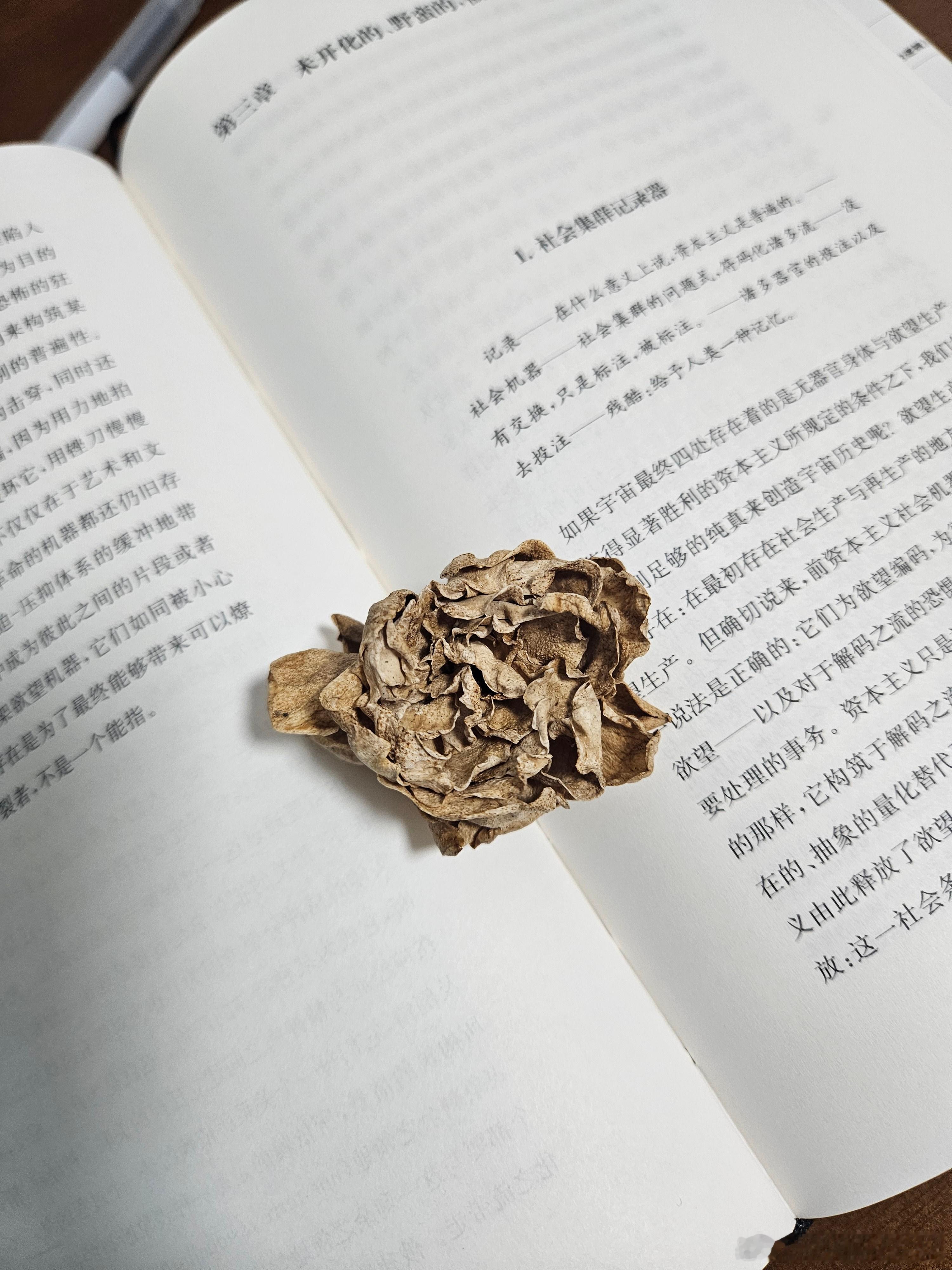 什么是诗人？一个不快乐的人，心中隐藏着深沉的痛苦，但他的嘴唇生得如此形状，以致当