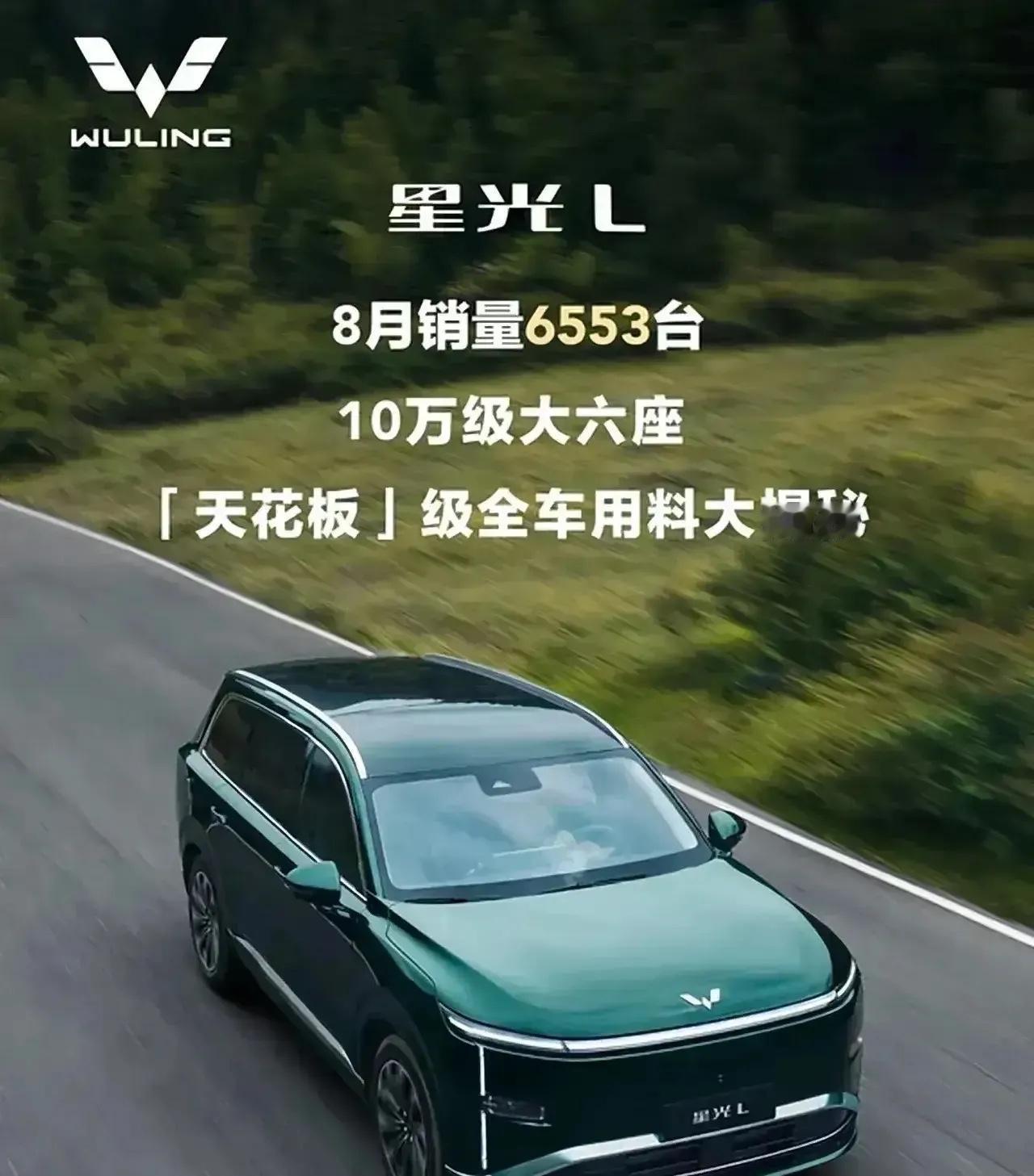 中国10大知名汽车品牌：

第一：国产骄傲——红旗。
第二：销量巨头——吉利。