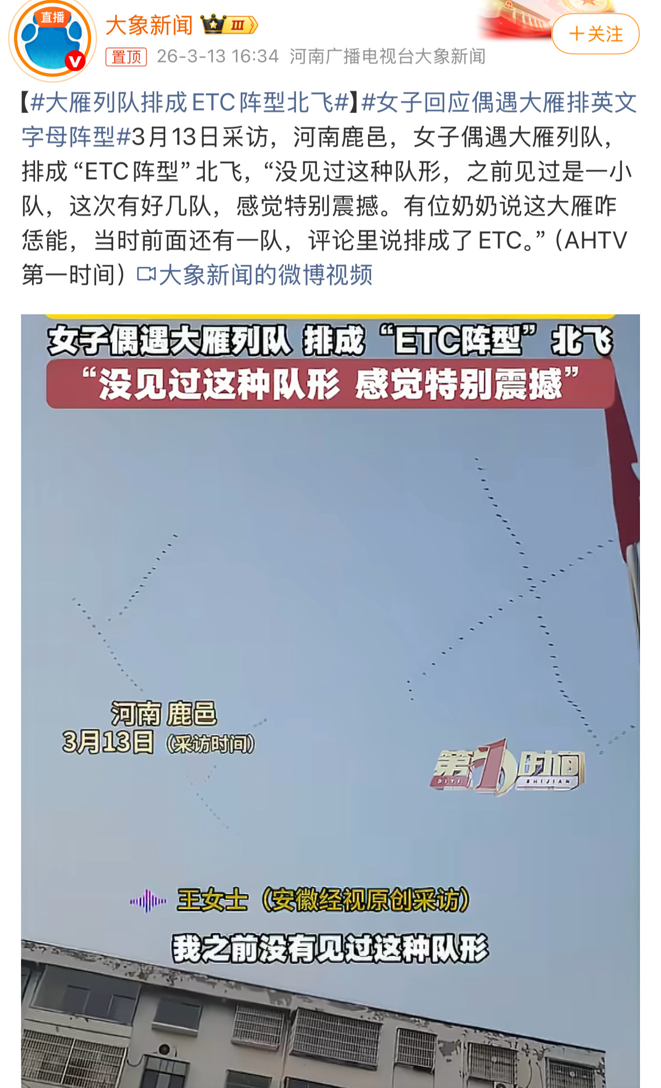 大雁列队排成ETC阵型北飞课文里说一会排成一字一会排成人字，也没说排成十字呀！ 