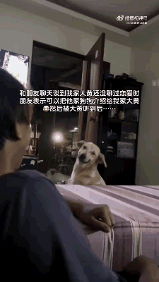 女婿眼里没有一点保留，全是对老丈人的谄媚！ 