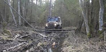 快看！国际时事头条消息！芬兰计划恢复与俄罗斯边境的沼泽陷阱。芬兰当局正考虑重启边