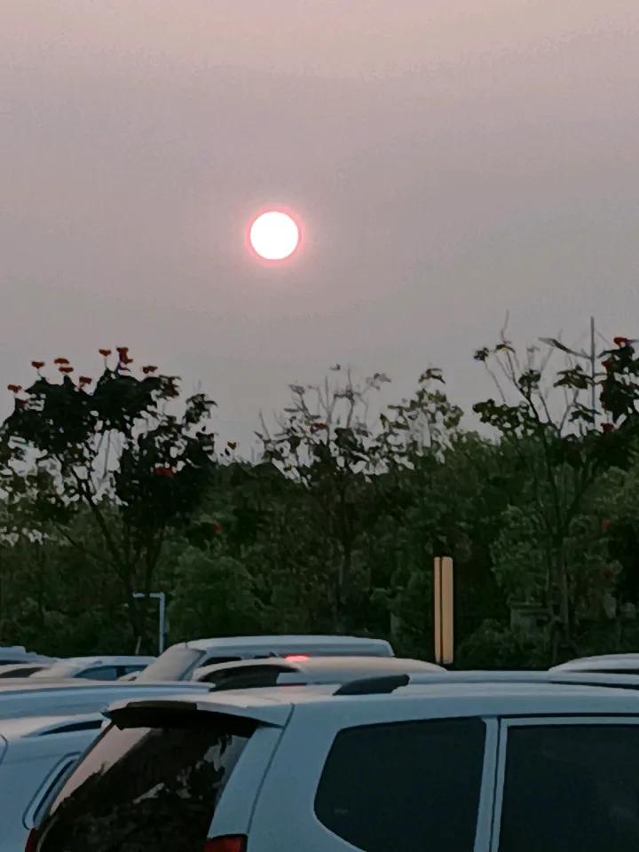 几度夕阳红