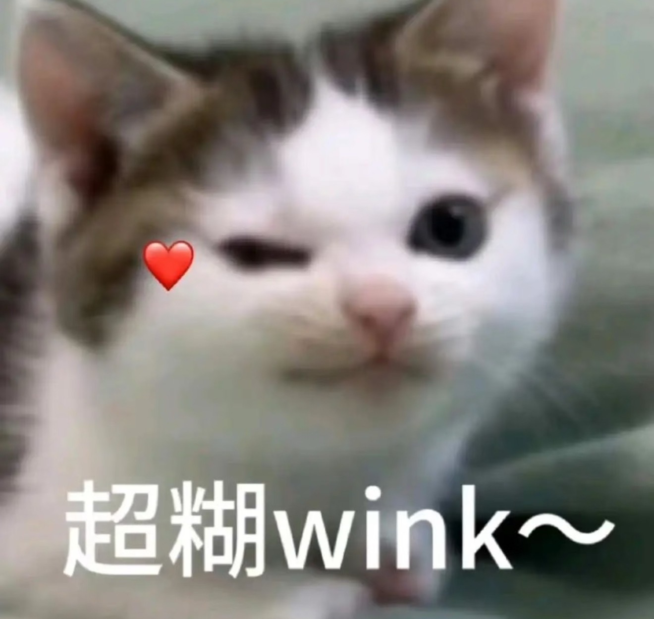 终于到周五了，今晚我和大家一起追剧👊🏻 
