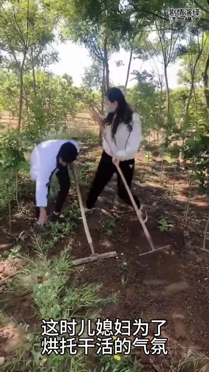 婆媳两个在地里干活，下一秒儿媳妇的做法太搞笑了。
婆婆和儿媳妇正在地里干农活，这